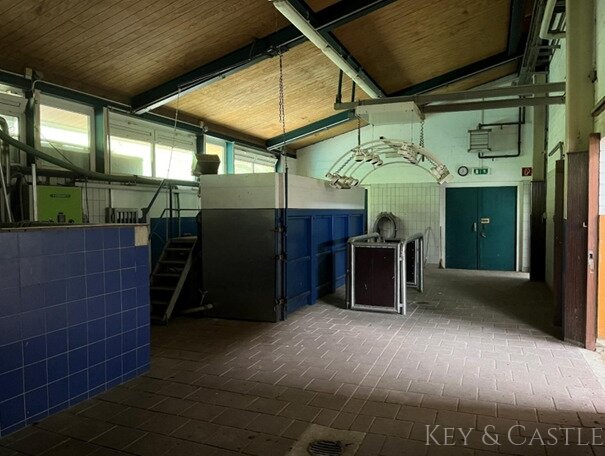 Exklusives Anwesen nahe Emden: Leben mit Pferd auf zauberhafter Reitanlage mit denkmalgeschütztem Bauernhaus