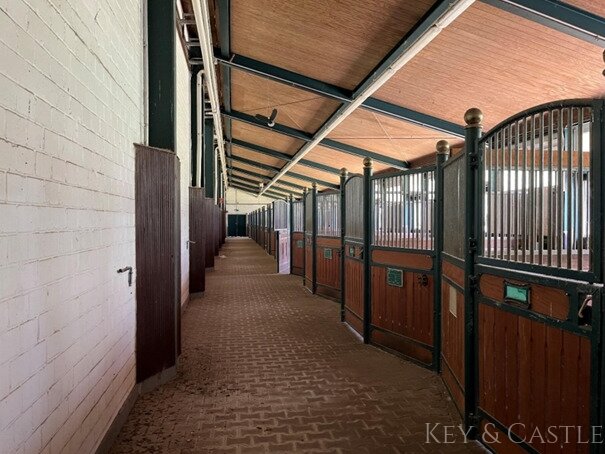 Exklusives Anwesen nahe Emden: Leben mit Pferd auf zauberhafter Reitanlage mit denkmalgeschütztem Bauernhaus