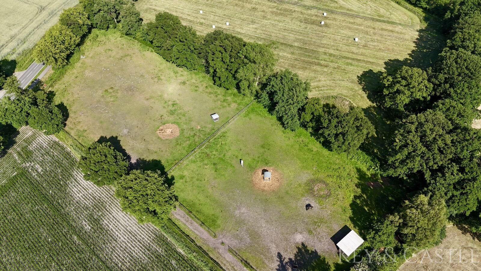 Traumhafte Reitsportanlage für Profis- mit mehreren Wohneinheiten in Ganderkesee