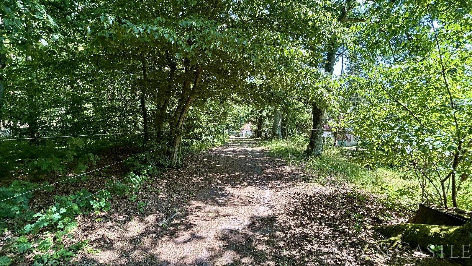 Idyllisches Einfamilienhaus mit Pferdehaltung bei Berlin