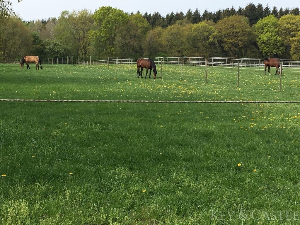 Äußerst gepflegte Reitsportanlage in bester Lage zwischen Natur, Stadt und Nordsee