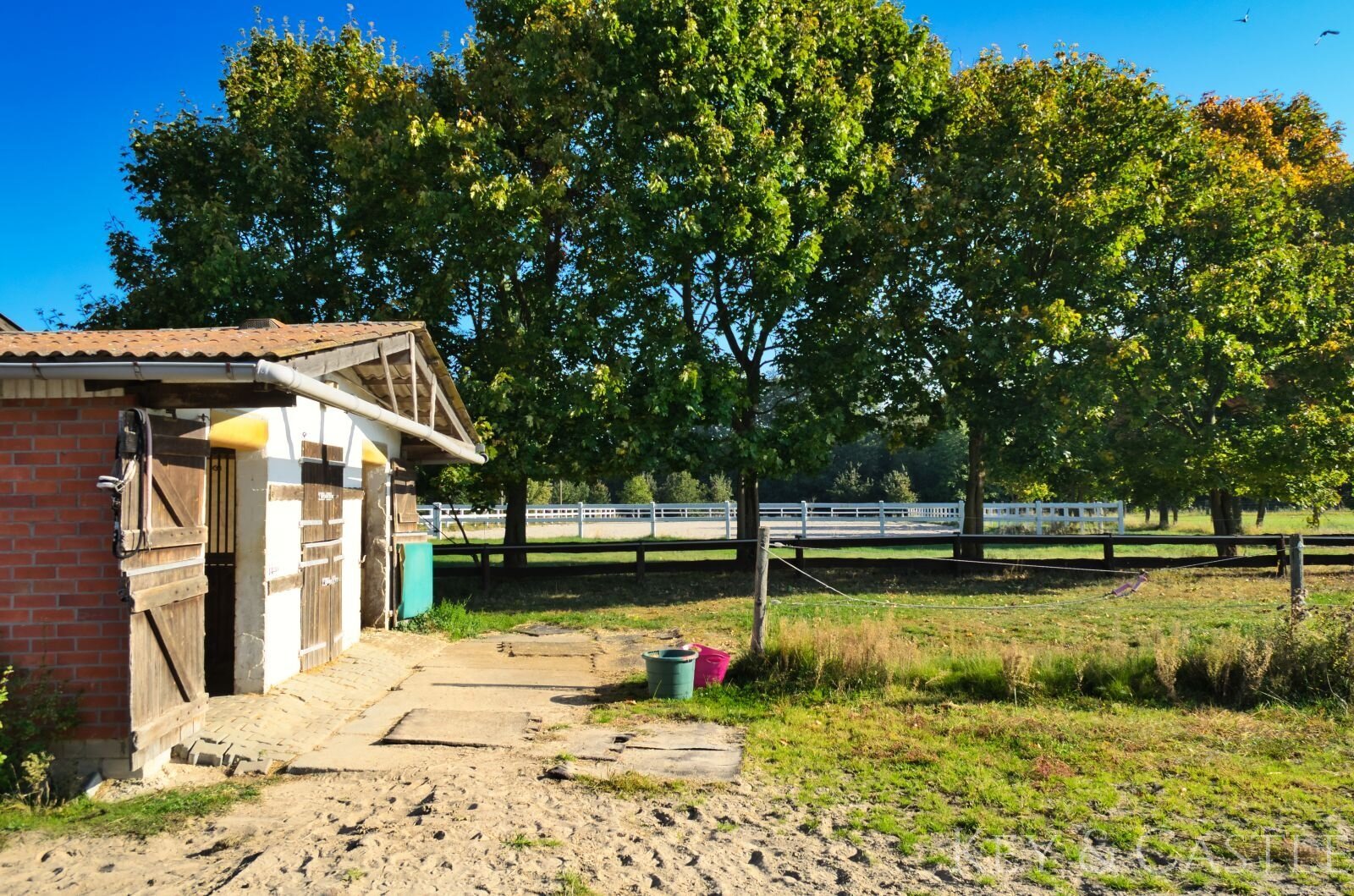 Einmalige Lage- Reitsportanlage bei Potsdam mit 16 Hektar arrondiertem Land