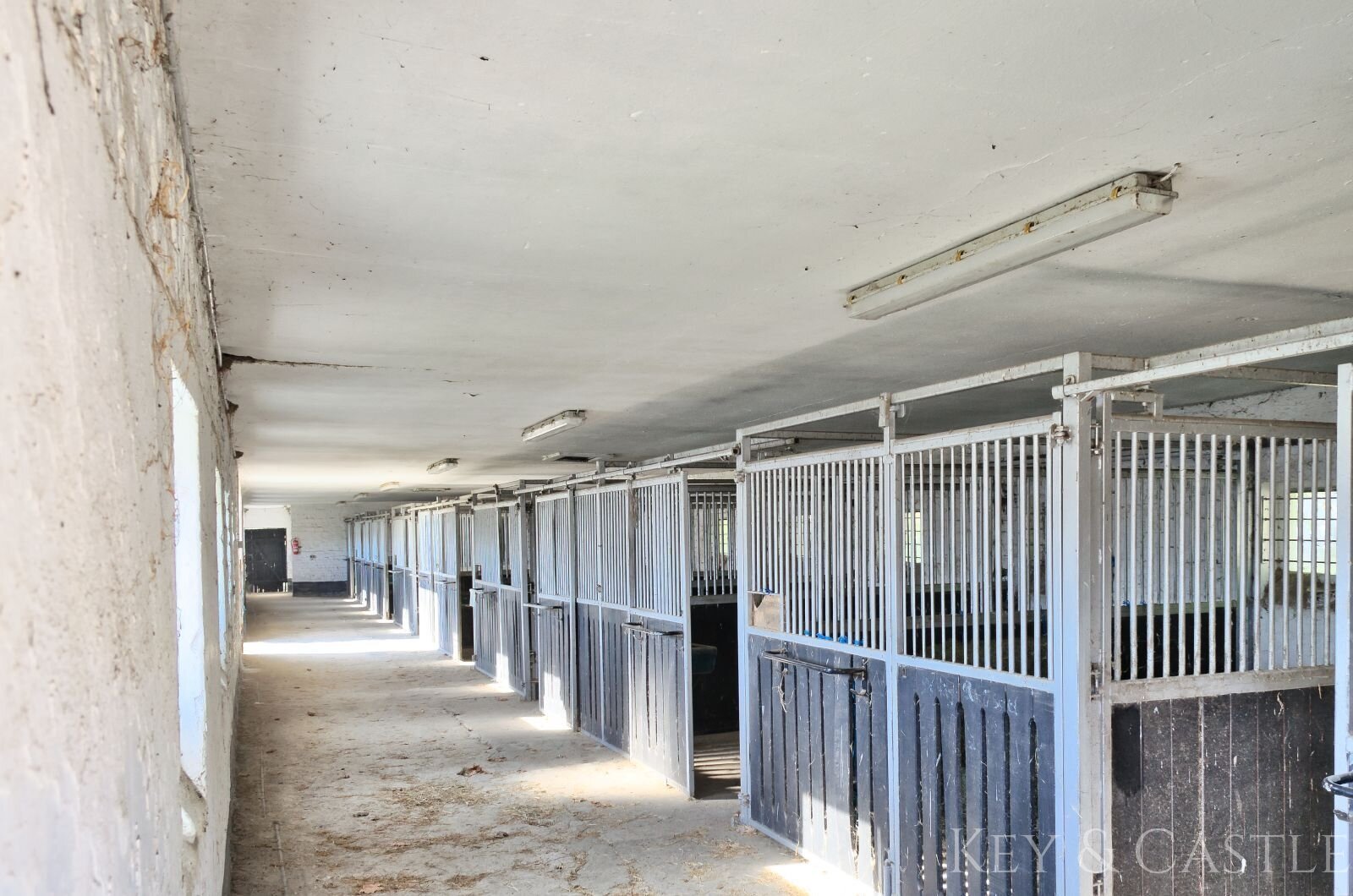 Einmalige Lage- Reitsportanlage bei Potsdam mit 16 Hektar arrondiertem Land