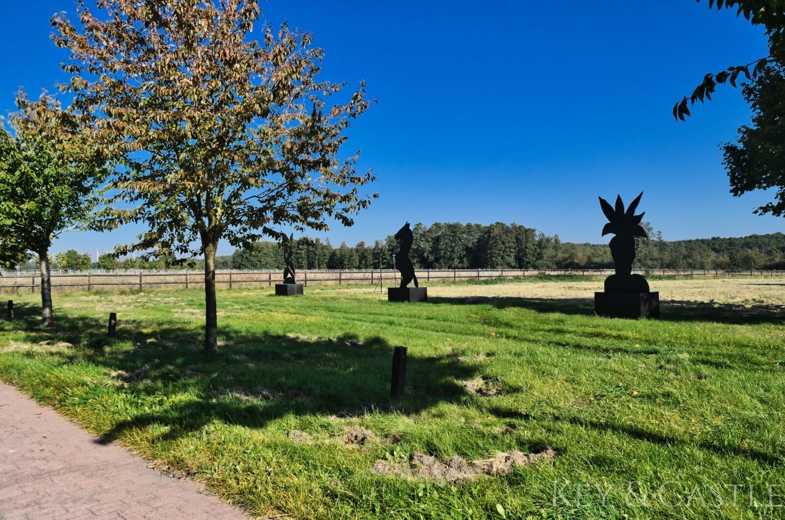 Einmalige Lage- Reitsportanlage bei Potsdam mit 16 Hektar arrondiertem Land