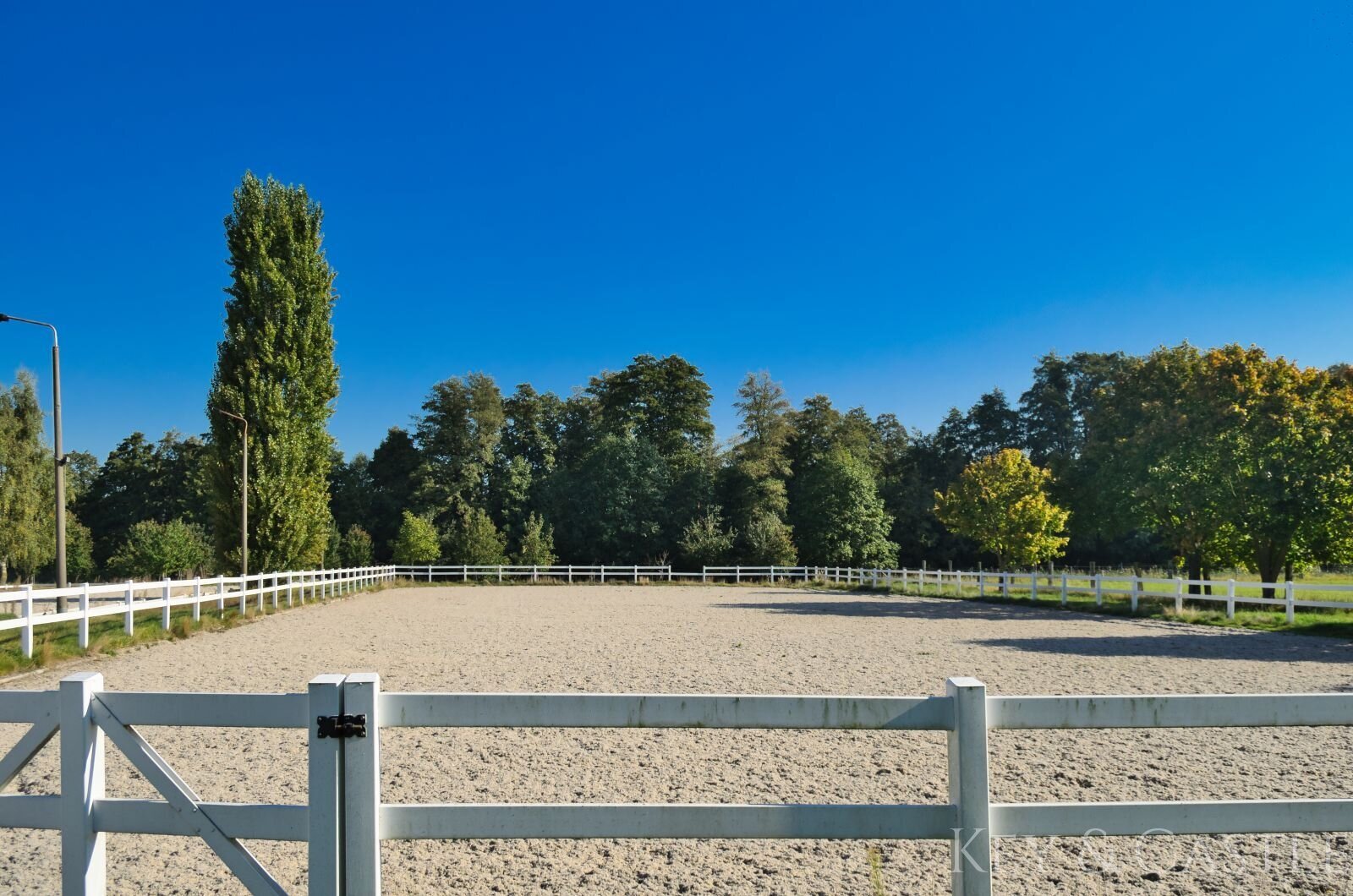Einmalige Lage- Reitsportanlage bei Potsdam mit 16 Hektar arrondiertem Land