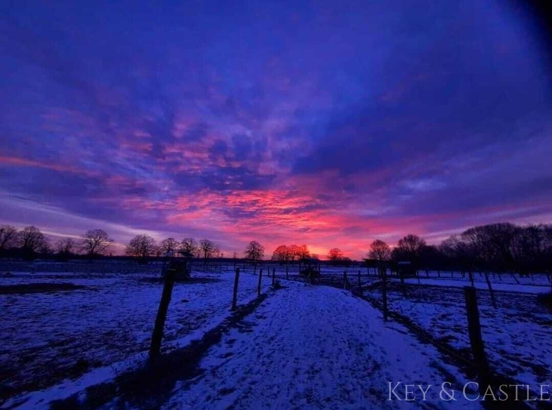 Vor den Toren Berlins – Profitabler Betrieb mit arrondiertem Weideland!