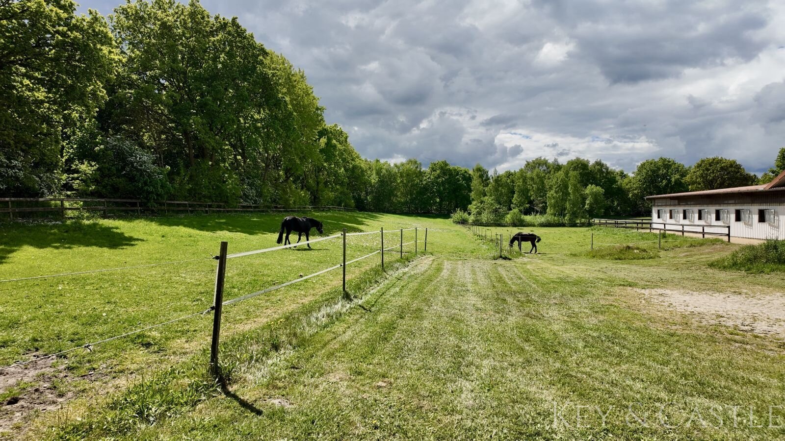 Äußerst gepflegte Reitsportanlage in bester Lage zwischen Natur, Stadt und Nordsee
