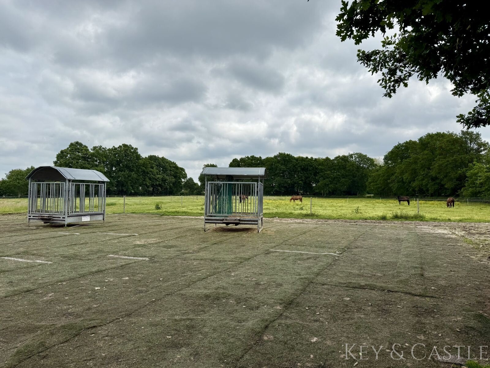 **provisionsfrei**Gepflegte Reitanlage mit erstklassigen Trainingsmöglichkeiten und Wohnhaus
