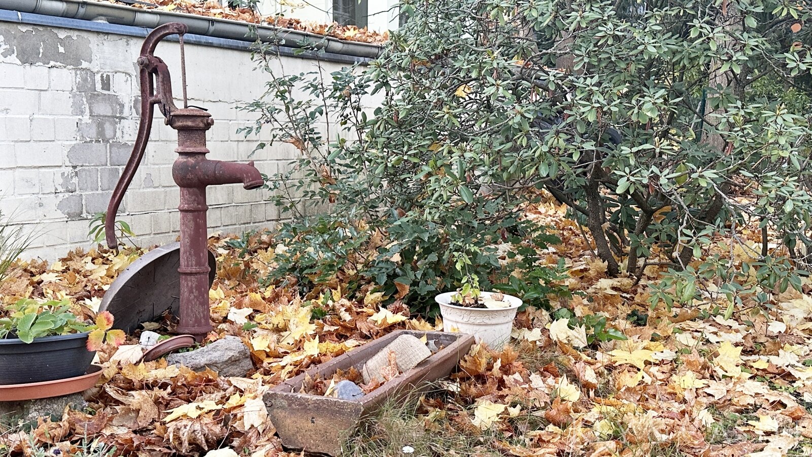 2 oder 3 Zimmer? Lichtdurchflutete Fachsanierung mit Südbalkon & Gartenmitnutzung