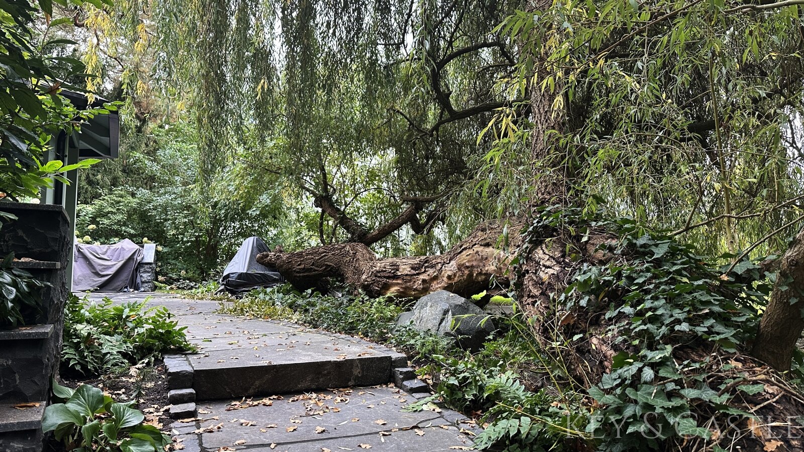 Zehlendorfer Parklage: Exklusives Wohnen am Messelpark mit City-Anschluss