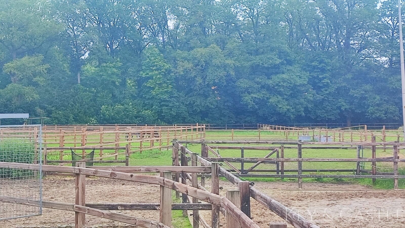 Vielseitige Reitanlage mit mehreren Wohneinheiten, arrondiertem Land und bester Lage für Reiter 
