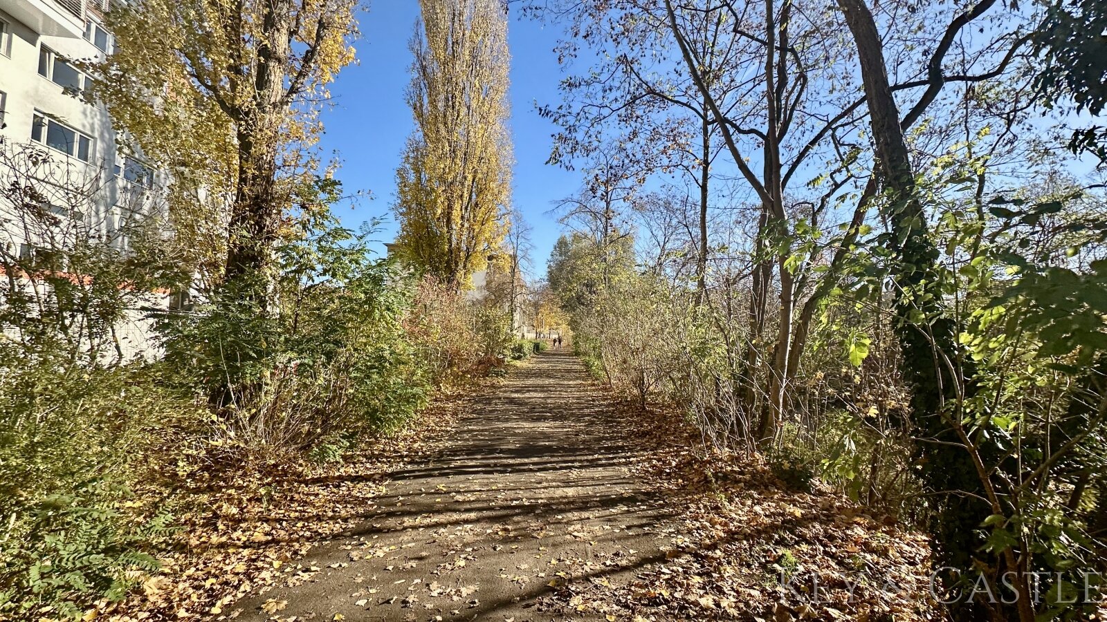 Potenzialwunder am Uferweg: Teilsanierte 2-Zimmer-Oase mit Wasserblick-Nähe