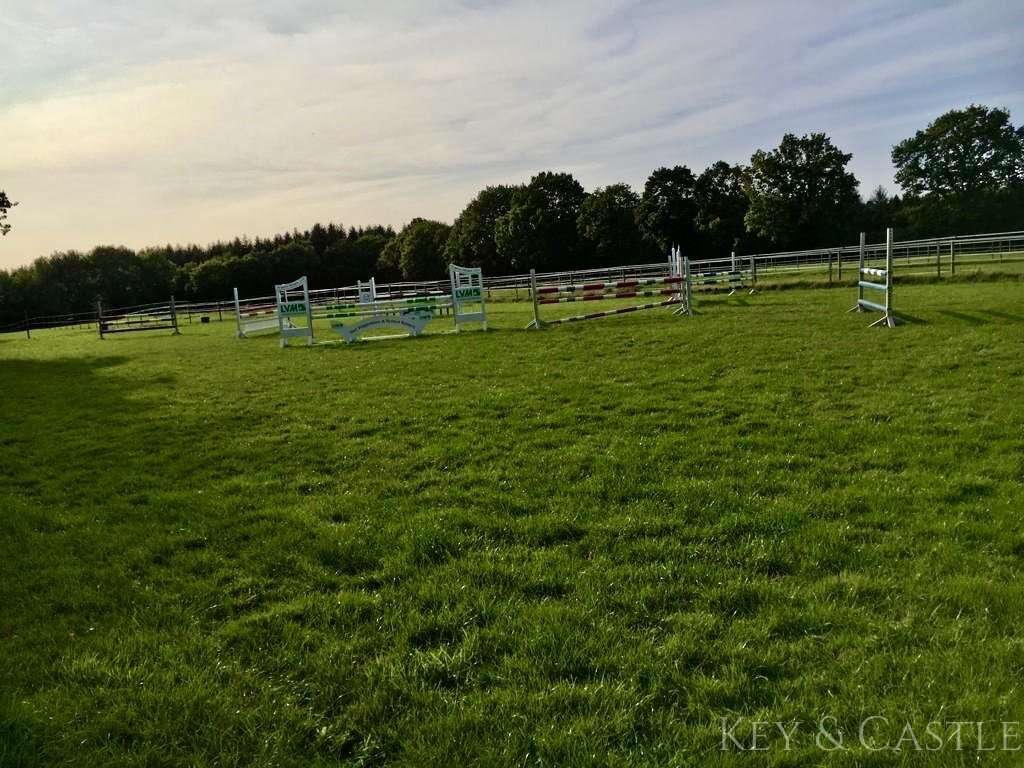 Springplatz (30 x60m) 