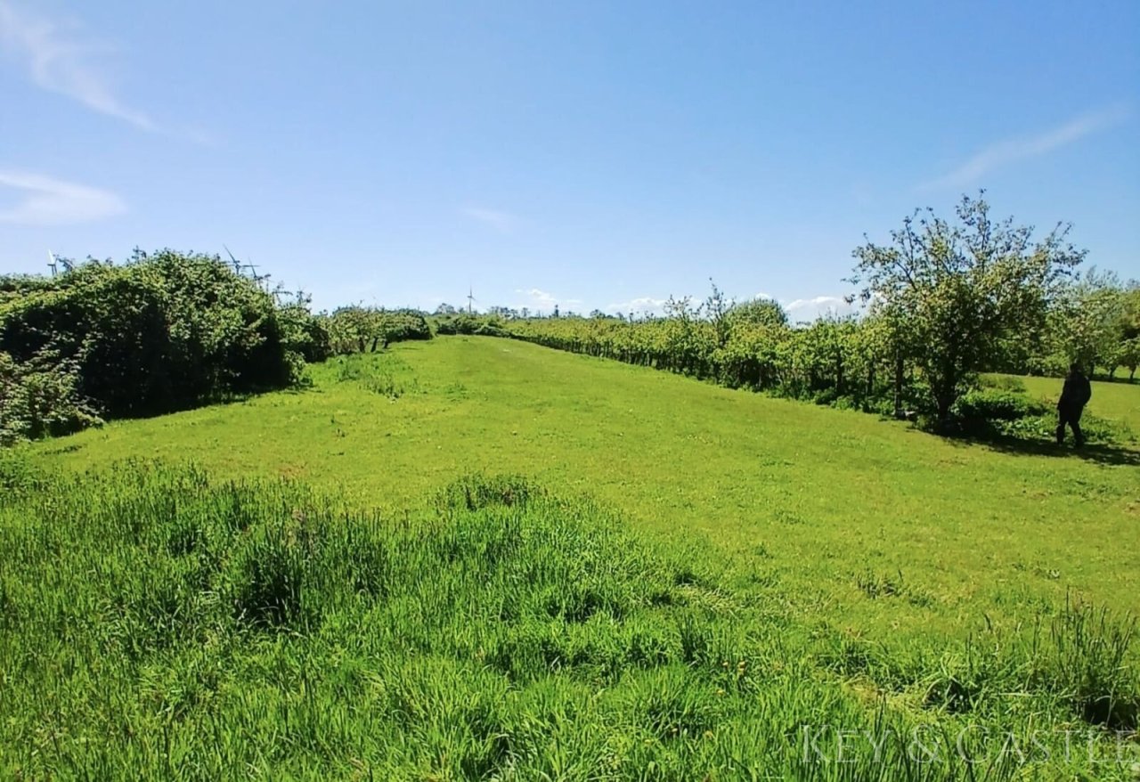 arrondiertes Weideland arrondiertes Weideland