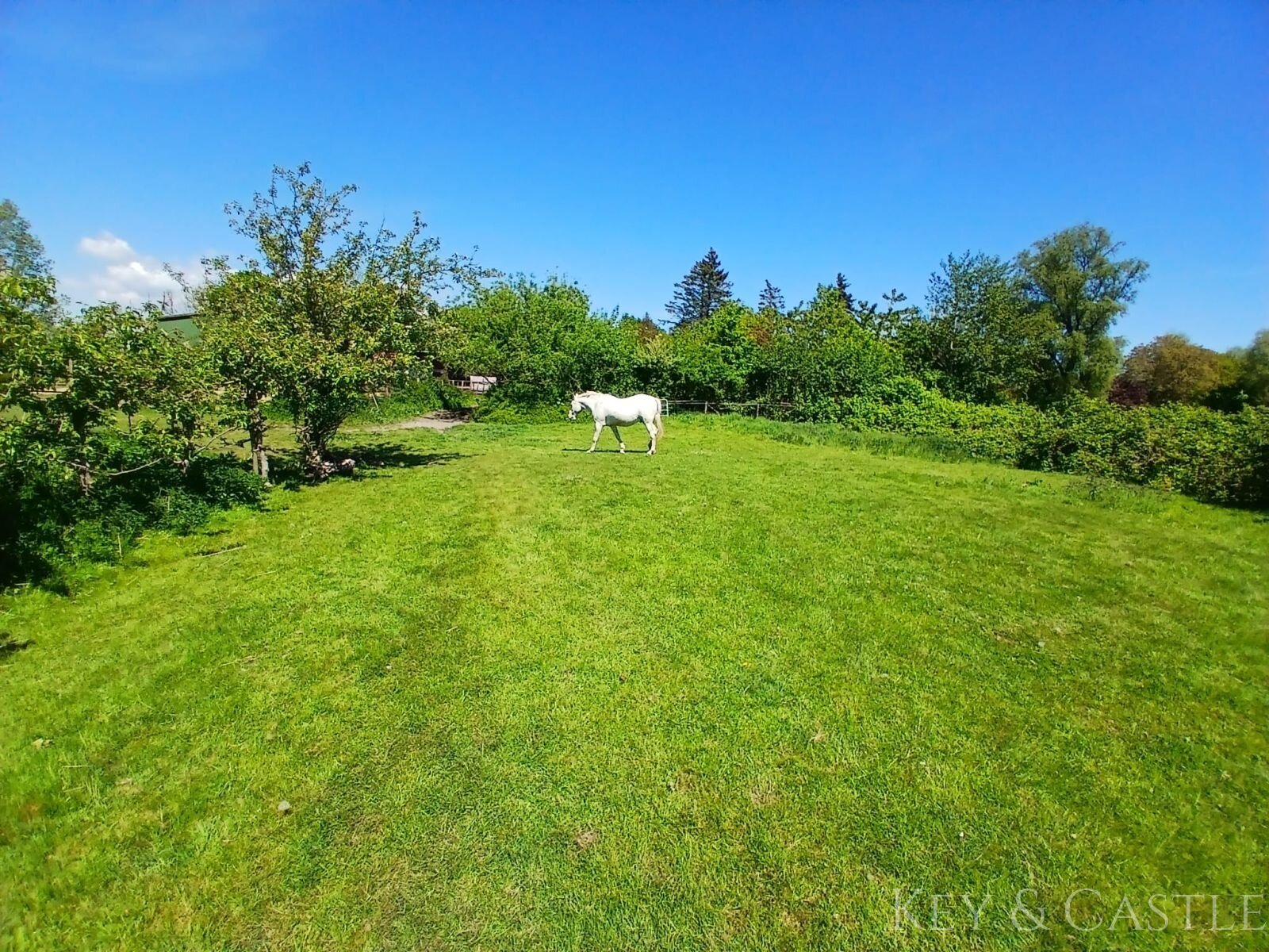 arrondiertes Weideland arrondiertes Weideland