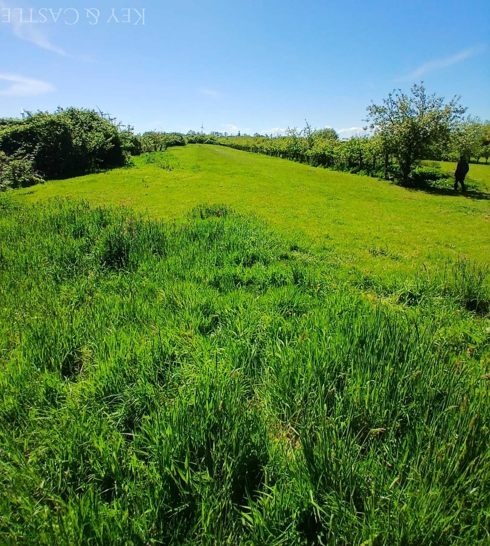 arrondiertes Weideland arrondiertes Weideland