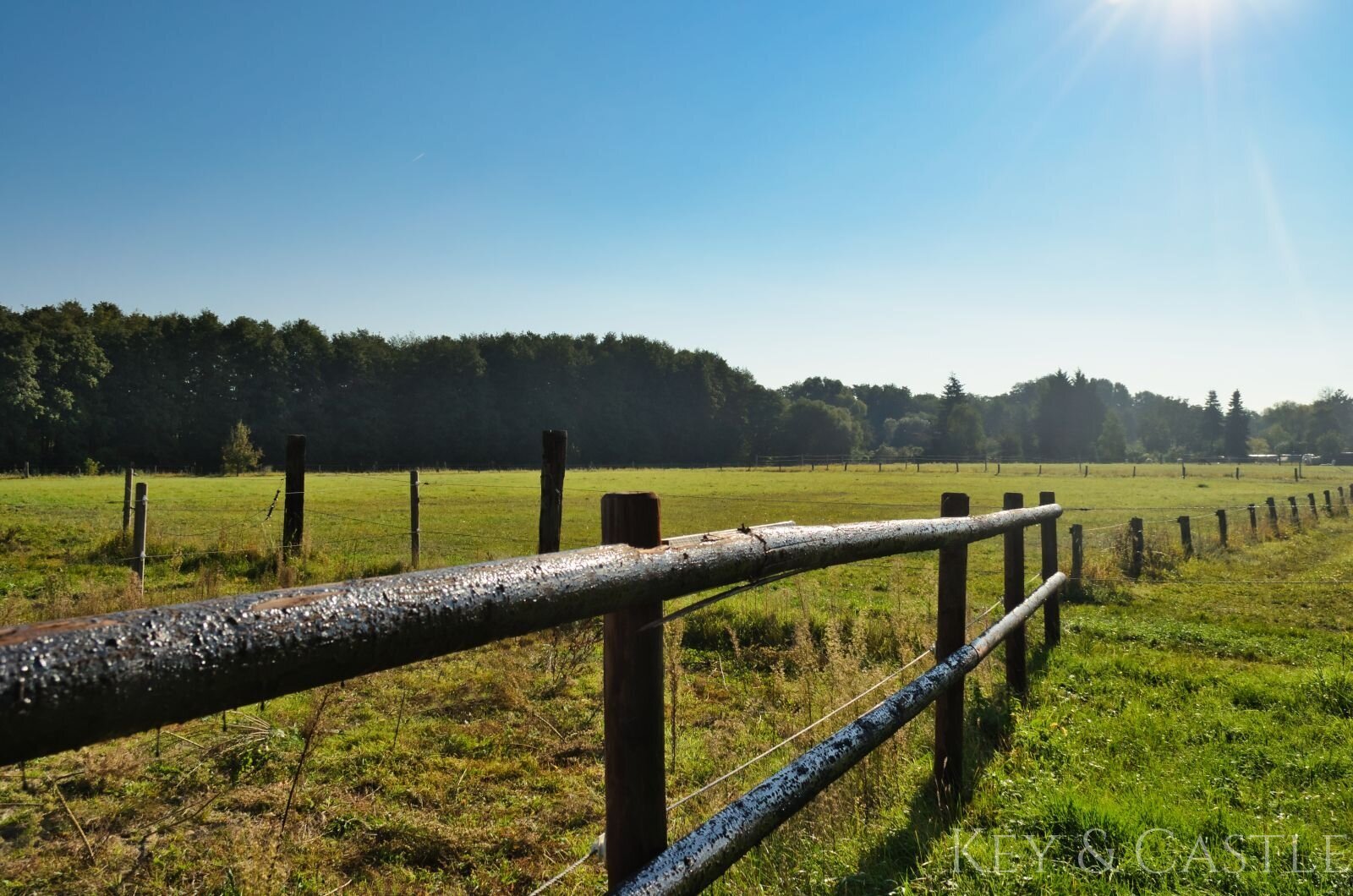 arrondiertes Weideland arrondiertes Weideland