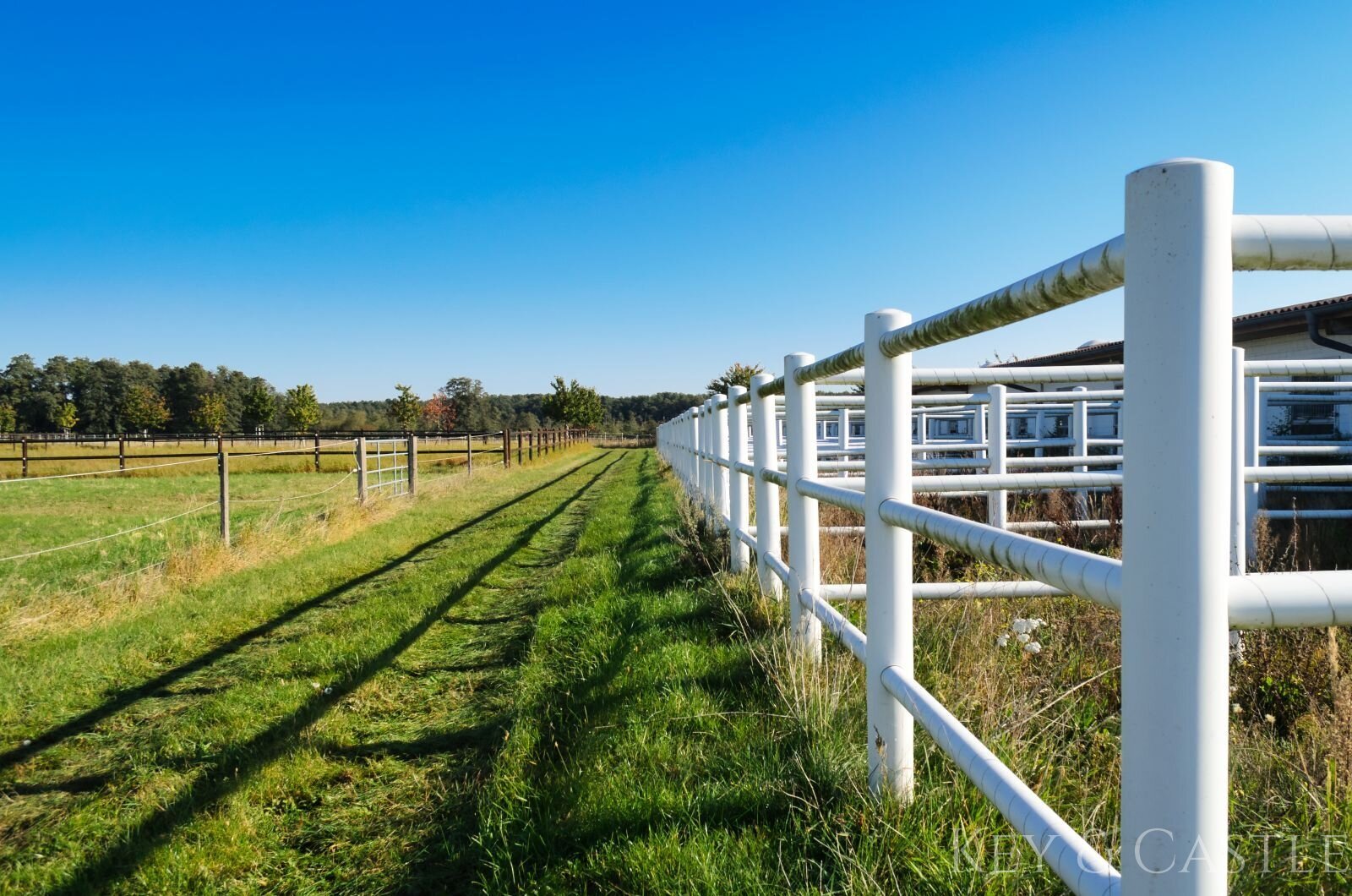 Außenpaddocks Außenpaddocks