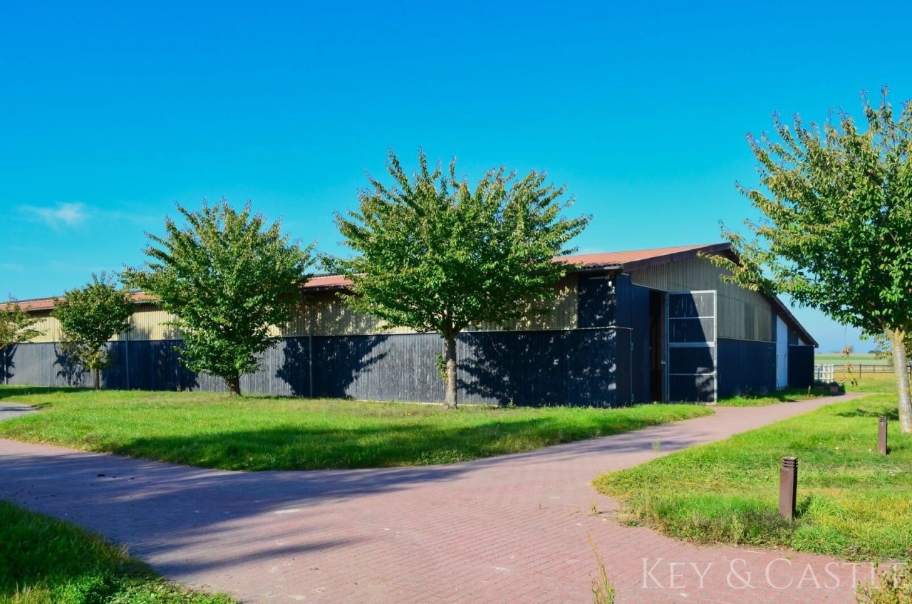 Reithalle (groß) mit Stallgasse   Reithalle (groß) mit Stallgasse