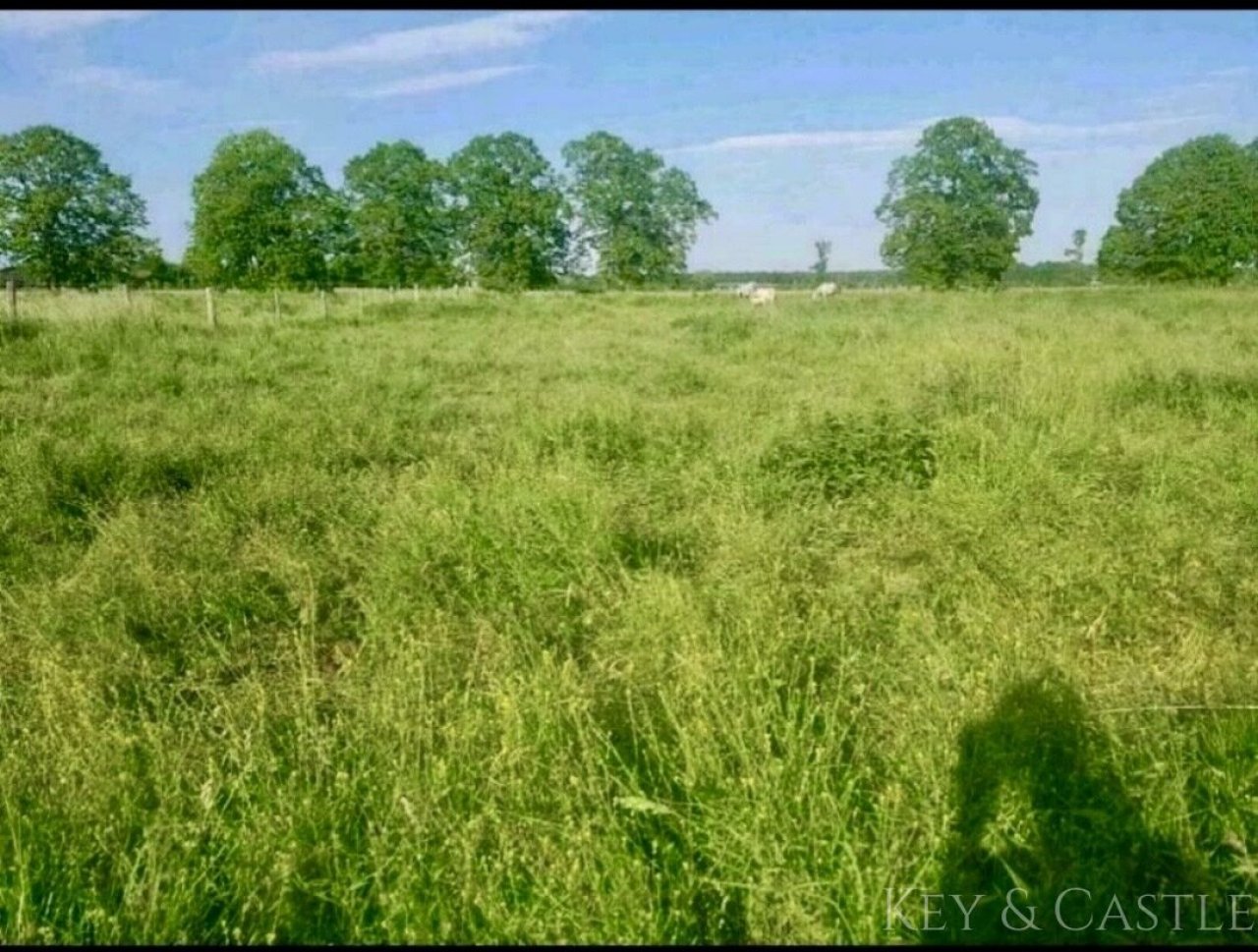 5 Hektar arrondiertes Weideland  5 Hektar arrondiertes Weideland