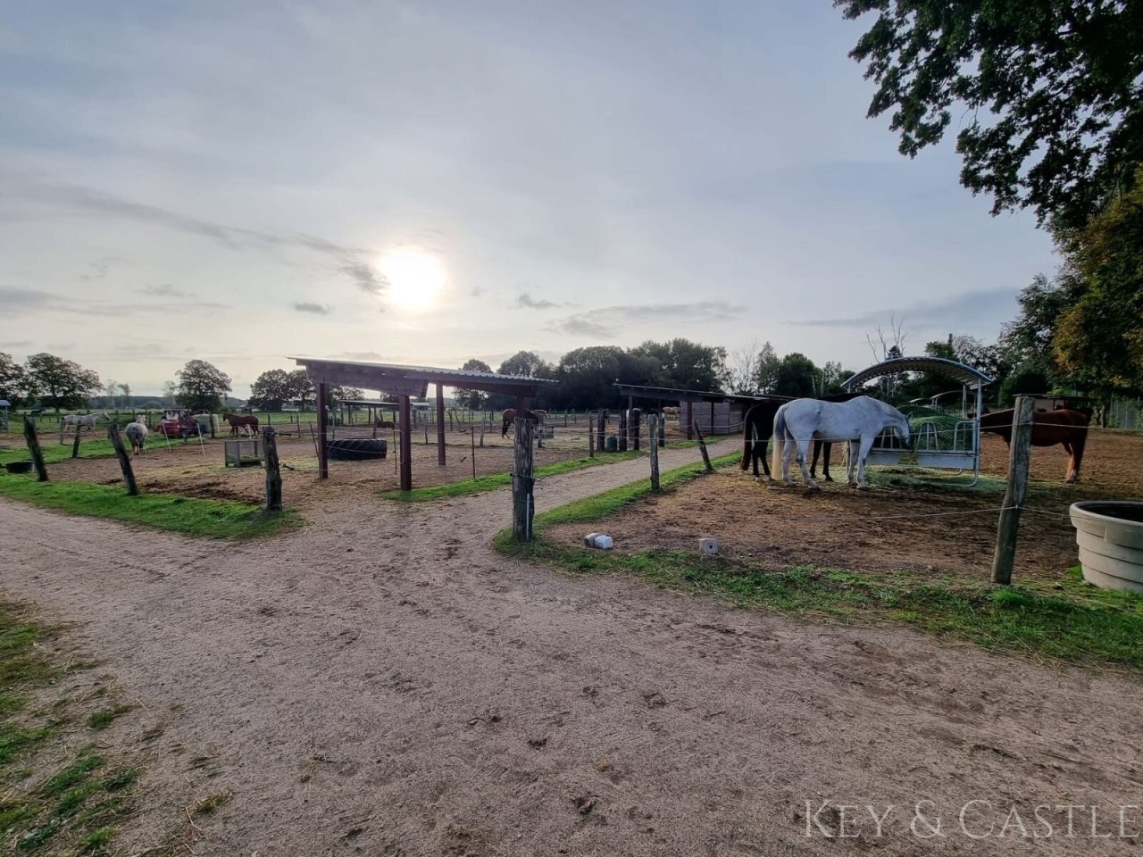 Paddocks mit Unterständen und Heuraufen inklusive Paddocks mit Unterständen und Heuraufen inklusive