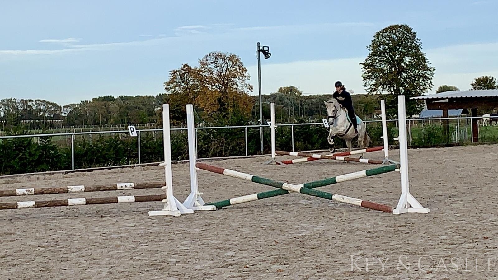 Dressurplatz mit Flutlicht (20 x 60m) Dressurplatz mit Flutlicht (20 x 60m)