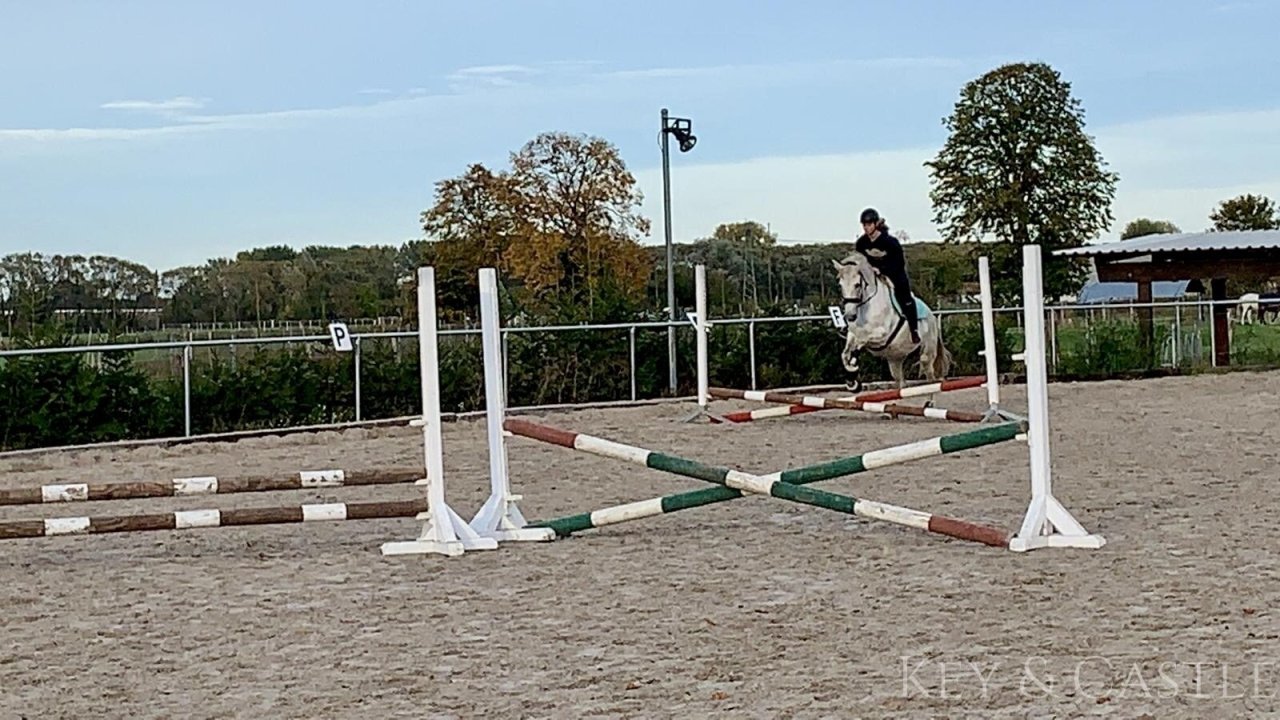 Dressurplatz mit Flutlicht (20 x 60m) Dressurplatz mit Flutlicht (20 x 60m)