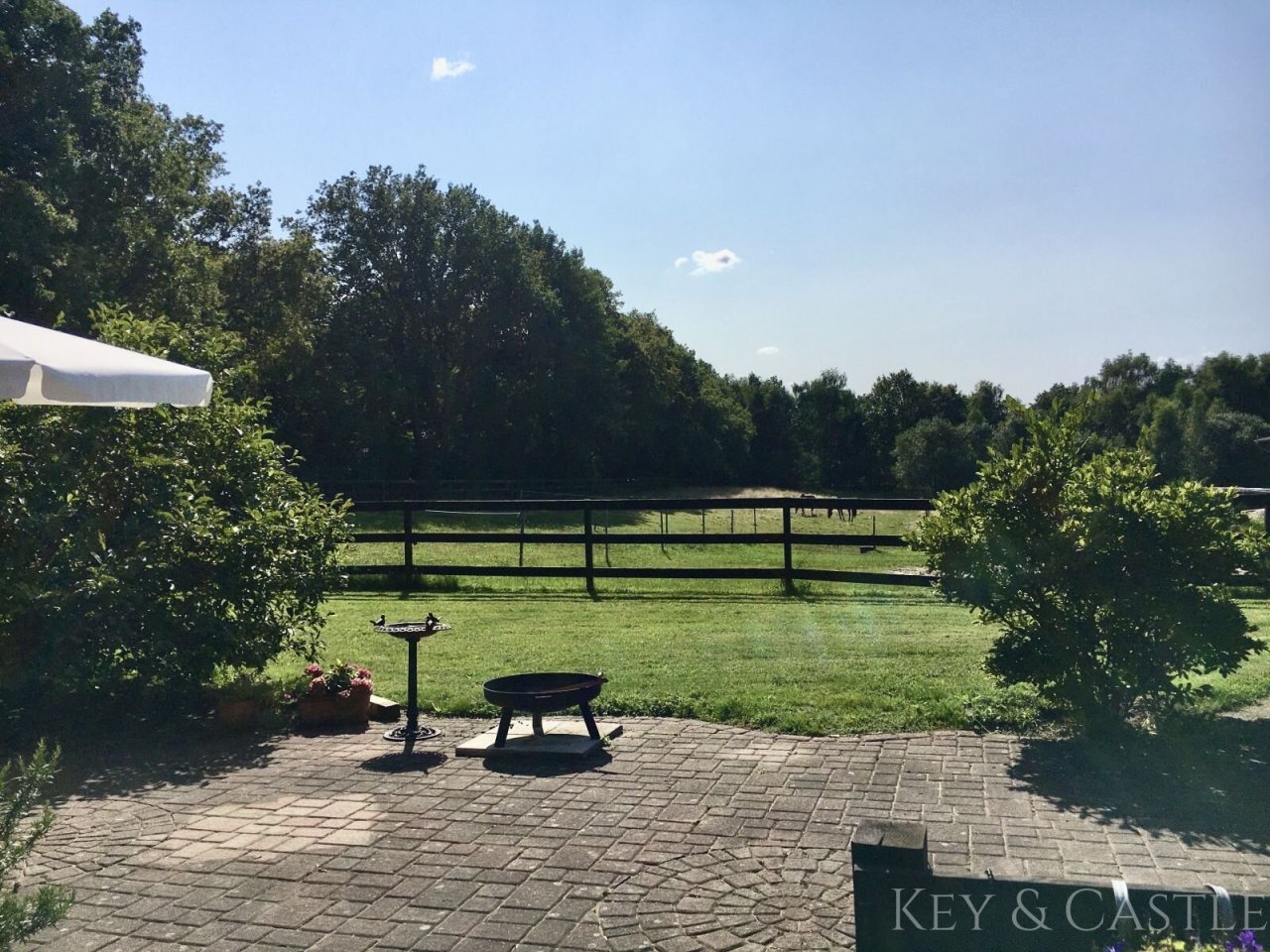 gepflasterte Terrasse mit Blick auf die Koppeln