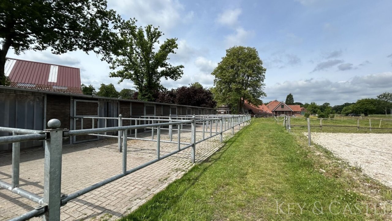 Außenpaddockboxen  Außenpaddockboxen