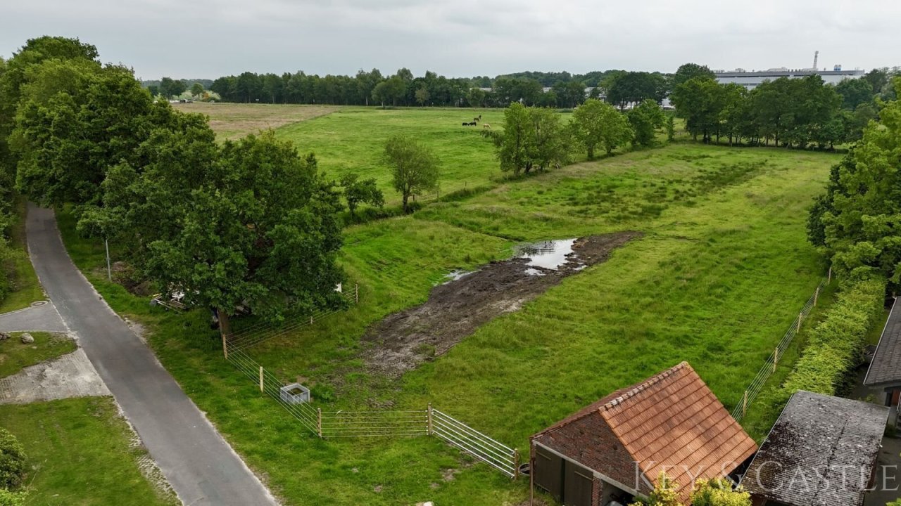 zusätzliches Weideland direkt gegenüber  zusätzliches Weideland direkt gegenüber