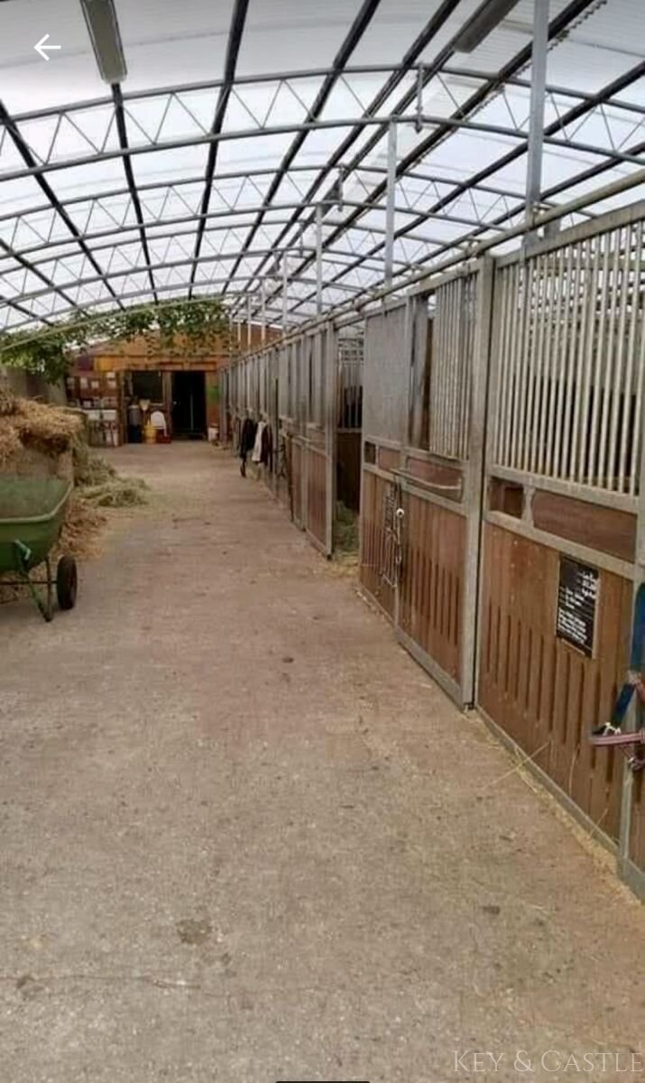 Stallgasse Freiluftstall (Allergiker geeignet)