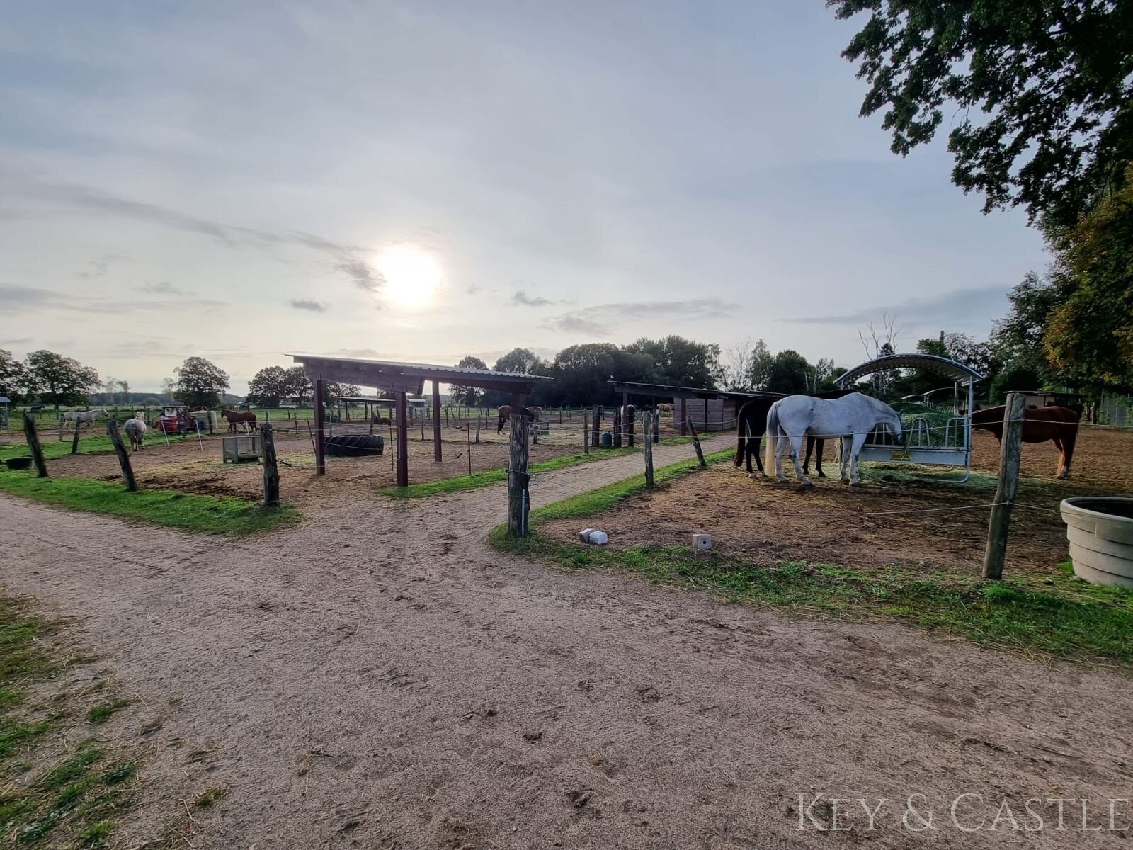 Paddocks mit Unterständen und Heuraufen inklusive