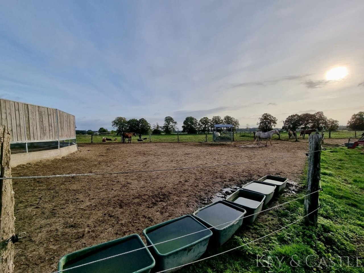 Paddocks seitlich des Roundpens