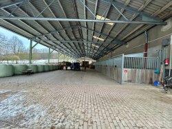 Lagerhalle/ 11 weitere Außenboxen Lagerhalle/ 11 weitere Außenboxen
