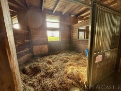 Box im Hauptstall Box im Hauptstall