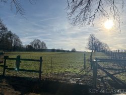Arrondiertes Weideland Arrondiertes Weideland