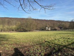 Arrondiertes Weideland Arrondiertes Weideland