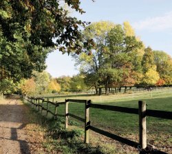 Arrondiertes Weideland Arrondiertes Weideland