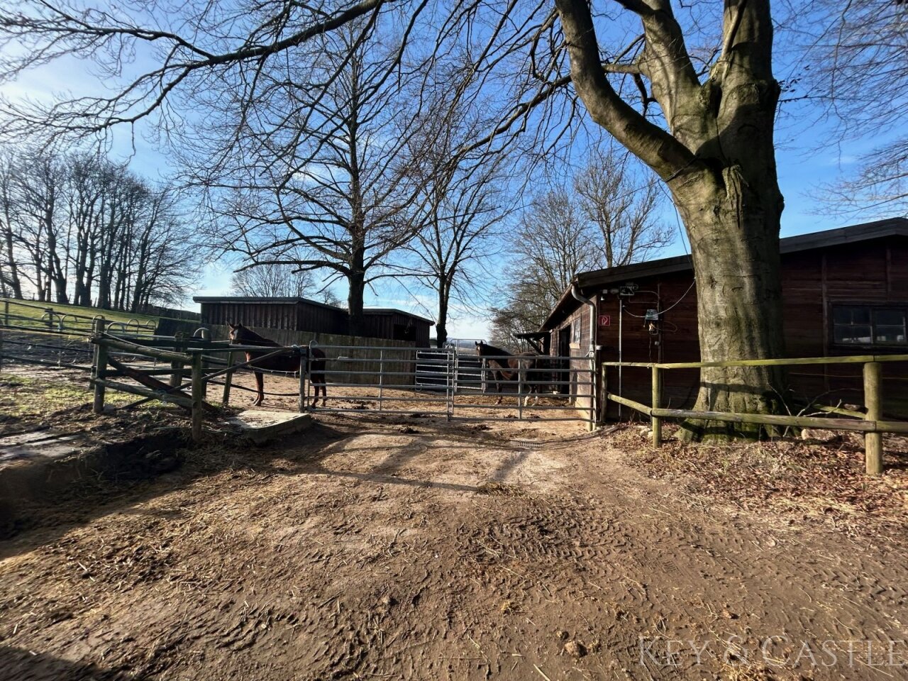 View of the playpens and barn