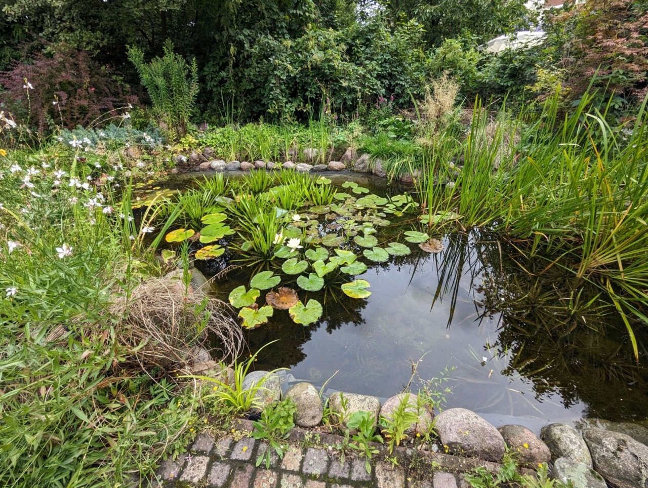 Garten mit Teich 